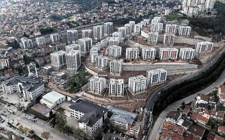 Cedit, çevre düzenlemesi ile son şeklini alıyor