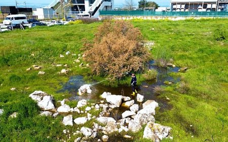 Torbalı Belediyesi’nden Halk Sağlığı İçin Seferberlik: Torbalı’da 12 Ay İlaçlama