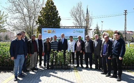 Başkan Altay: “Bu Yıl Çiftçimize 31.420 Meyve Fidanı Desteğinde Bulunduk”