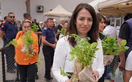 Atalık tohumdan geleceğe