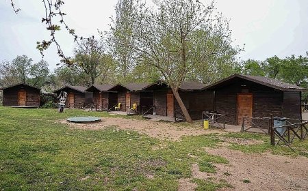 Buca’da doğayla iç içe sosyal hizmet: Dere Kafe