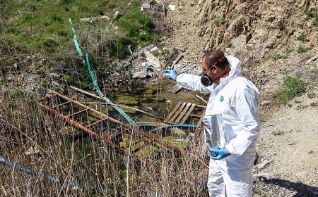 Çankaya’da İlaçlama Çalışmaları Hızlandı