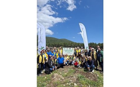 “Yeşil Adım” Projesiyle 11 Bin 581 Fidan hayat buldu.
