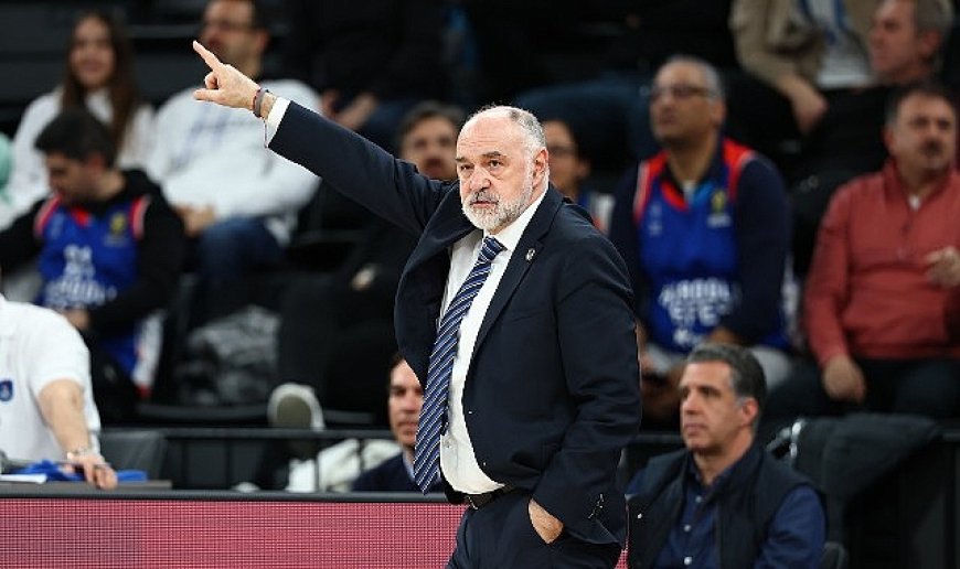 Anadolu Efes, Partizan mesaisinde