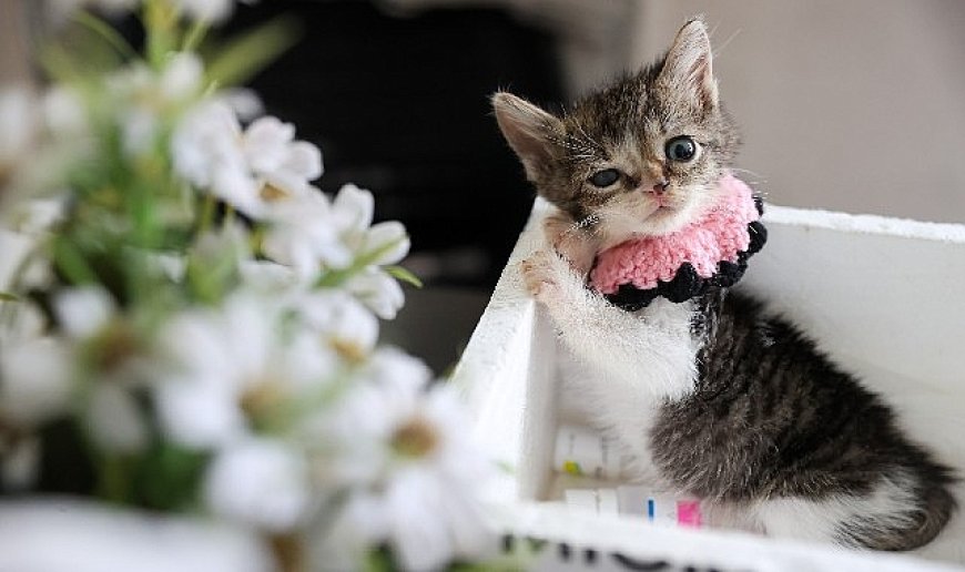 Buca Belediyesi ‘Zero’ için seferber oldu