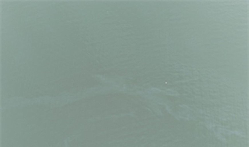 İzmir Körfezi’nde kirlilik alarmı: Aynı tehdit 11. kez görüldü