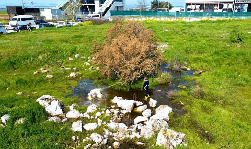Torbalı Belediyesi’nden Halk Sağlığı İçin Seferberlik: Torbalı’da 12 Ay İlaçlama