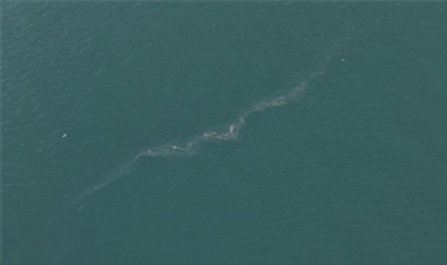 İzmir Körfezi’nde 13. dış kaynaklı kirlilik vakası