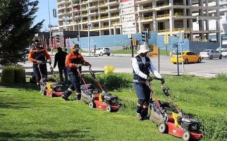 Çankaya Parklarında Çim Biçme Çalışması