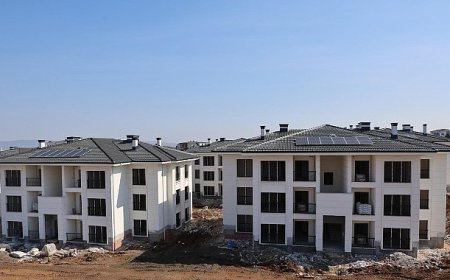 24 saatte 1.585 başvuru