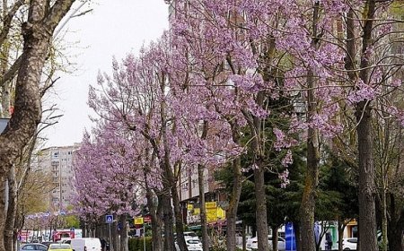 Beylikdüzü’nde Bahar Mesaisi Başladı