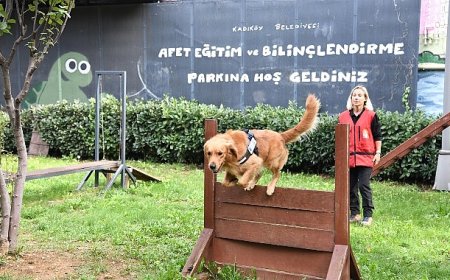 Kadıköy Belediyesi 4 Sertifikalı Arama Köpeği Olan Tek İlçe