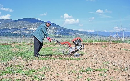 Büyükşehir ipek böceği yetiştiriciliğini yaygınlaştırıyor