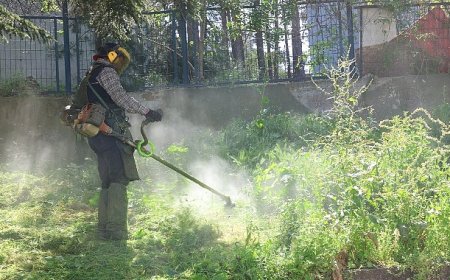 Osmangazi Belediyesi’nden Çevreye Bahar Dokunuşu