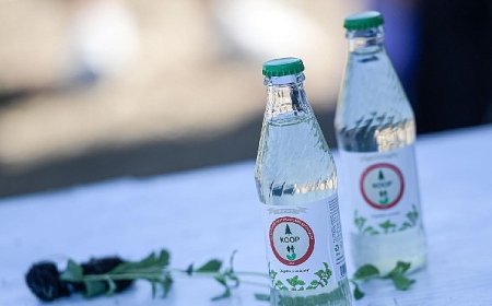 Şekersiz gazozun adresi Çamlı’ya yeni destek