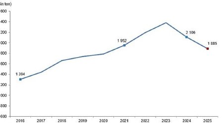 Kırmızı Et Üretim İstatistikleri, 2025