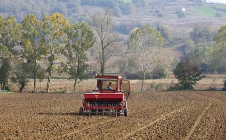 Traktörler tarlalara indi, mısır ekimi başladı