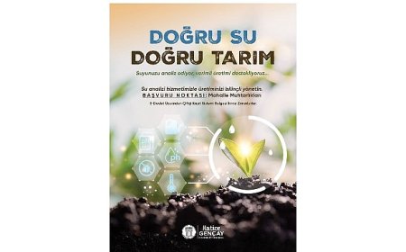 Didim Belediyesi’nden Çiftçilere Tarımsal Destek