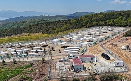 Büyükşehir’den sahipsiz köpeklere yeni yuva