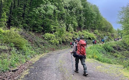 Büyükşehir'in doğa yürüyüşüne büyük ilgi
