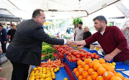 10 Bin Üreticiye 300 Bin Yerli Fide Desteği