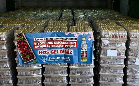 Büyükşehir’den Üreticiye Dev Destek