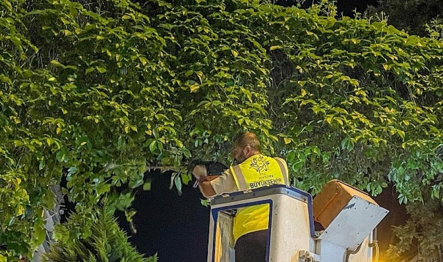 Başkan Çerçioğlu: Aydınımız İçin Gece Gündüz Çalışmaya Devam Ediyoruz