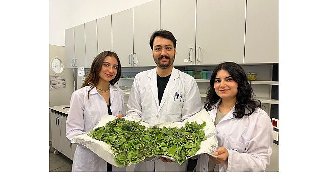 BİLGİ’li öğrenciler antibiyotik direncine karşı yenilikçi ve doğal bir yöntem geliştirdi