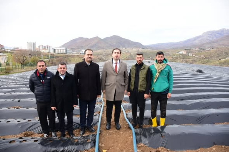 Batman Sason’da çilek üreticilerine ziyaret